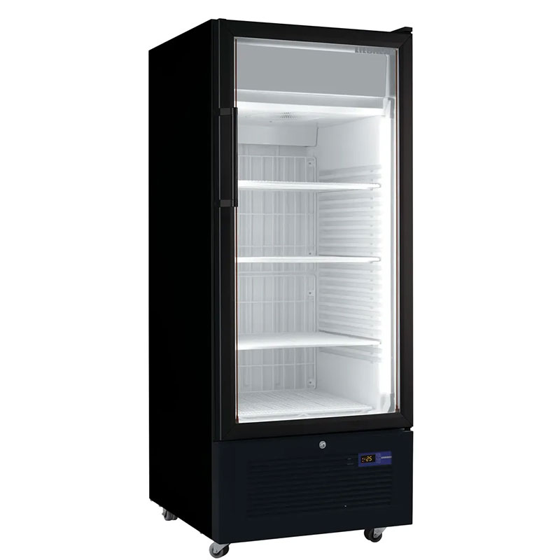 Freezers with Glass Door